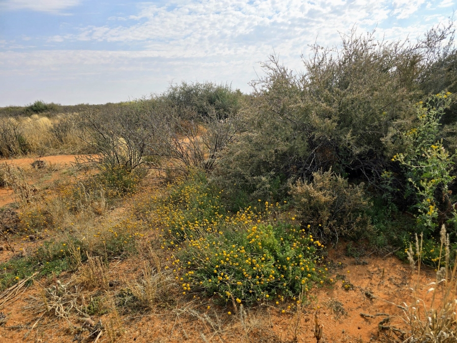 Commercial Property for Sale in Kenhardt Northern Cape